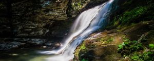 landscape-drainage